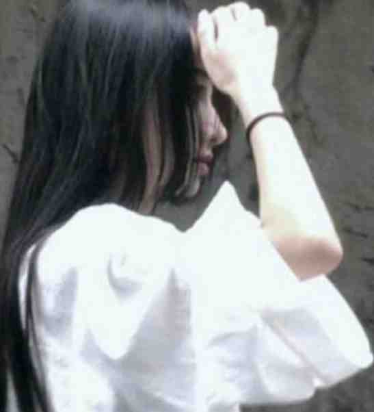 帝师王婿叶凡何思凝