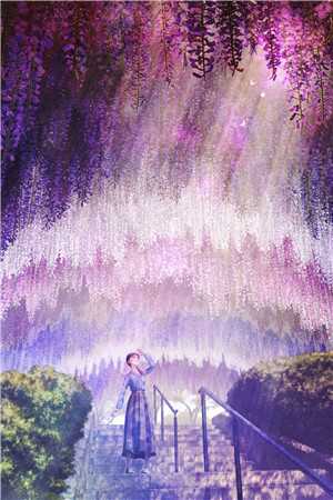 直播荒岛求生，修仙大佬跪舔