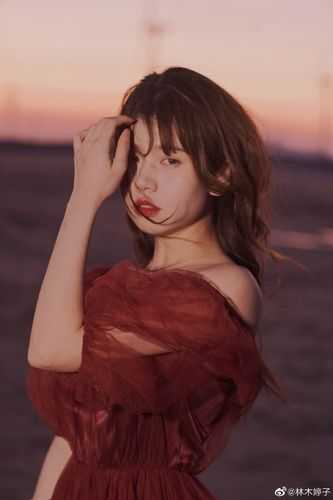 巧合的女孩小说