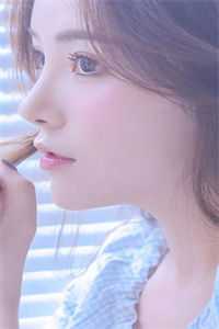 用户17544553抗日保安团小说