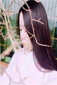 秦妄小丧尸