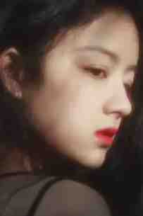 沈小姐独美后，五个哥哥哭着求原谅
