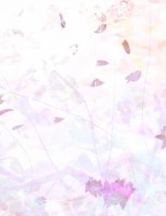 宁芸梦徐少淮