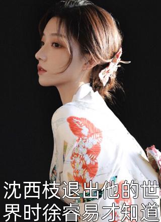 姜凡两个丹田