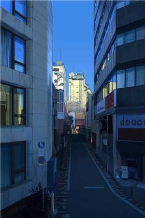 致勇气小姐