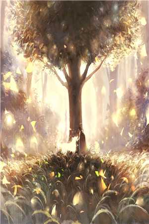 圣斗士星矢：童虎