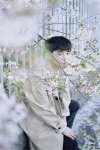 蓝晓晓傅时钧
