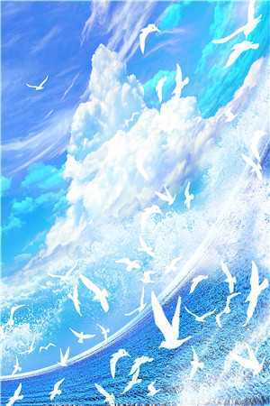 天空的来信完本小说