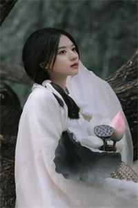 小院杂谈