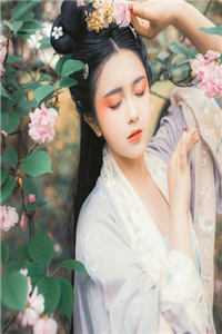 司空靖和苏月汐