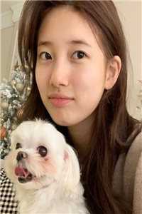 叶锋唐婉儿