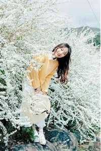 重生之上门龙婿