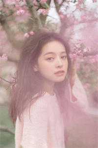 我老婆是大明星