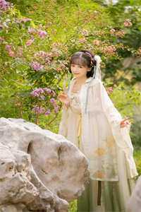 战神狂婿