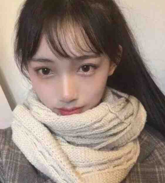 苏清莫北渊精彩章节