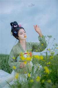 并蒂花苏晨苏星