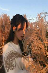 江柚明淮小说全文免费阅读