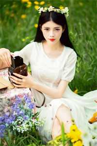 白陌江洛菡苏婉结局