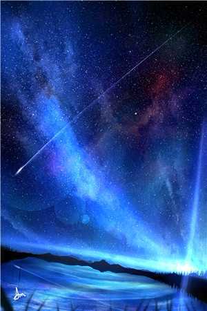 沈若陆星延小说