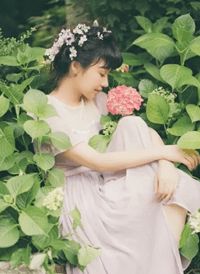 苏晚季李佑年