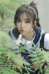 叶杏江辞深小说