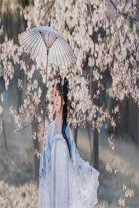 温婉宋鹏飞重生八零傻妻，被大佬宠得连生三宝