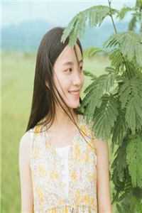 杨硕李进夜幕白烟
