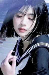 热搜小说陆婉宁宋怀修