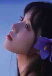 莫阳苏菲儿
