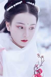 晁云的小说