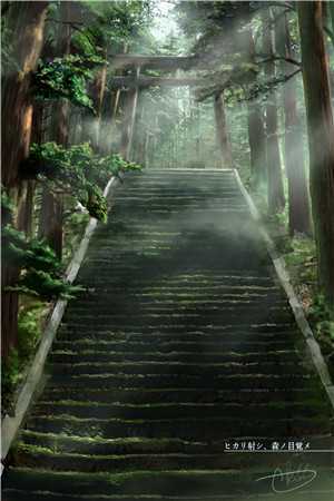 说不爱我的是你，离婚哭什么