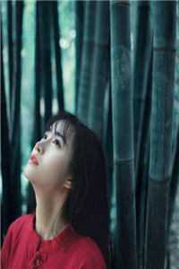 清月来时