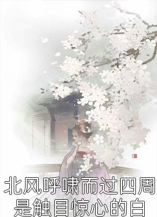 晚明烽火之熊廷弼悲壮之火