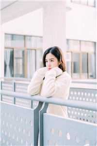 小花回来了