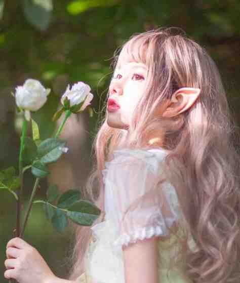 疯子美人的救赎日记