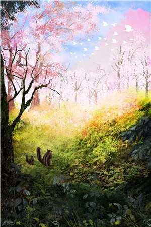 破茧成蝶啊