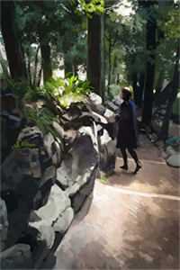 离婚后我开始和男人玩橄榄球