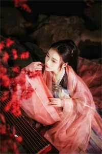 炮灰逆袭：从女配到顶流之路