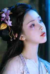 将军夫人今天和离了吗