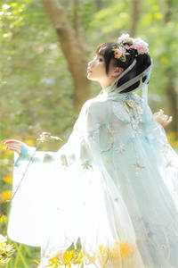 武碎星河