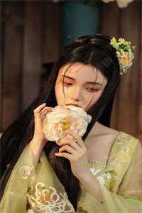 寒梅与青松