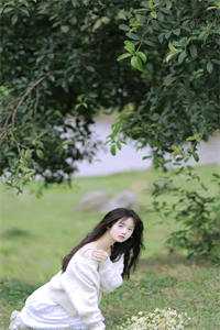 夫人闹离婚，总裁哭着求怜爱梵花似锦