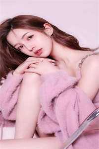 樱花与阴影