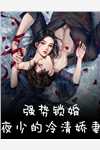 首席设计师的蓄谋已久
