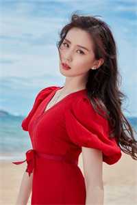 穿越韦大宝：十二个老婆闹上海
