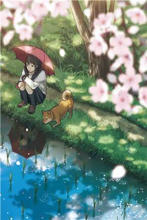 陆幼菱诸葛鹤轩