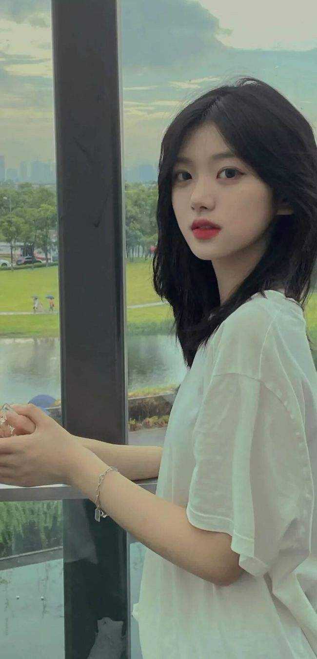 战火蔷薇