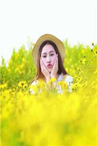 枯等晨曦碎星眸