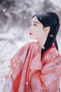 首辅大人宠爱不止，贵女有福了