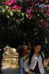 双人楼梯求生：美艳校花终成娇妻